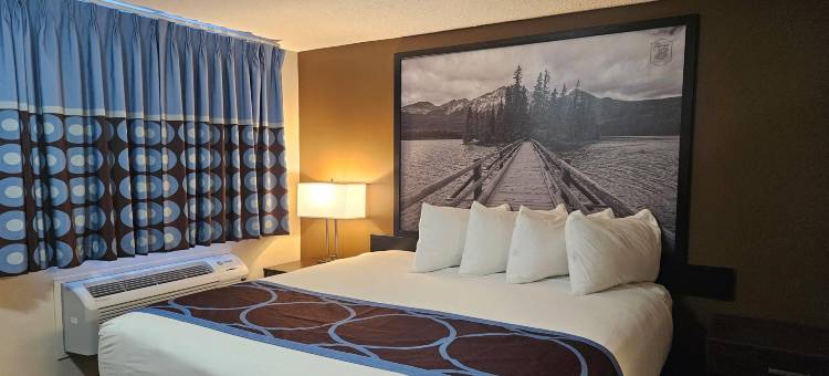 斯普鲁斯格罗夫温德姆速8酒店(Super 8 by Wyndham Spruce Grove)图片