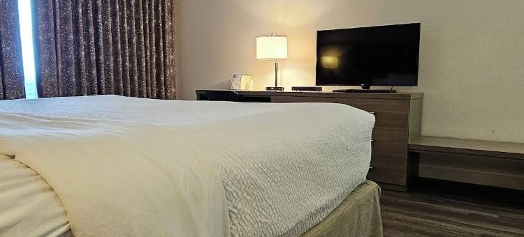 苏圣玛丽 6 号汽车旅馆(Motel 6 Sault Ste. Marie, ON)图片