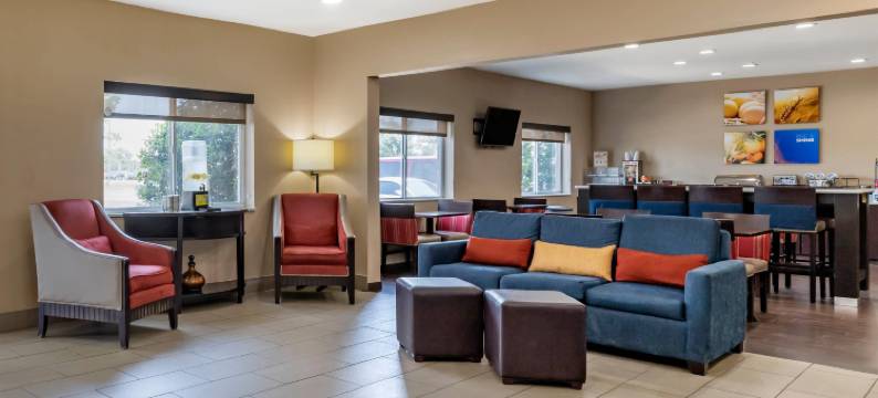 舒适酒店-俄克拉何马市南240号州际公路(Comfort Inn Oklahoma City South - I-240)图片