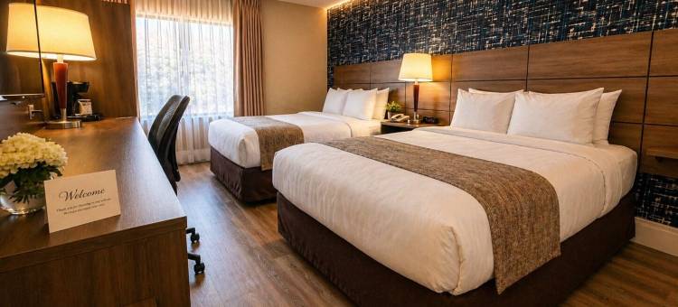 舒适酒店(Comfort Inn)图片