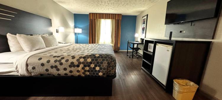 费城超级套房旅馆(Baymont by Wyndham Philadelphia MS)图片