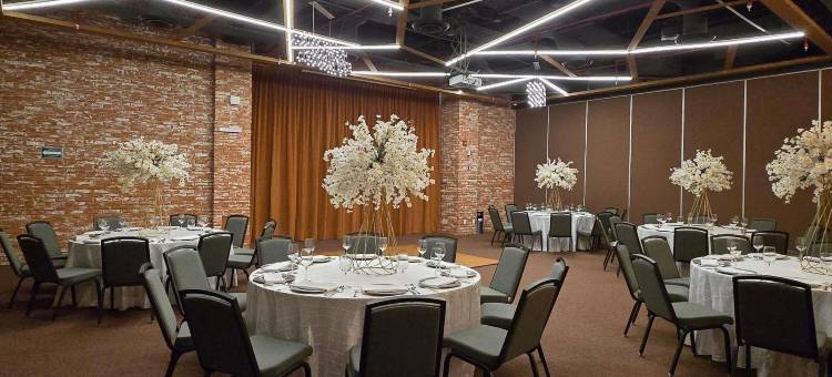 蒙特雷山谷诺富特酒店(Novotel Monterrey Valle)图片