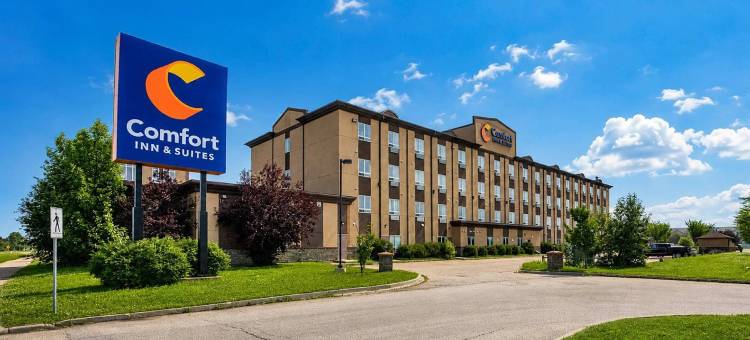 舒适套房酒店(Comfort Inn & Suites)图片