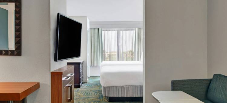 杰克逊维尔 SpringHill Suites 酒店(SpringHill Suites Jacksonville)图片