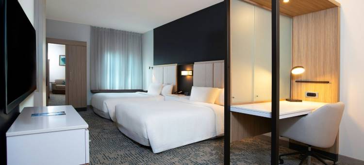 里士满机场SpringHill Suites酒店(SpringHill Suites by Marriott Richmond Airport)图片