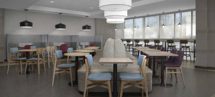 阿伦德尔米尔斯I机场希尔顿惠庭酒店(Home2 Suites by Hilton Arundel Mills BWI Airport)图片