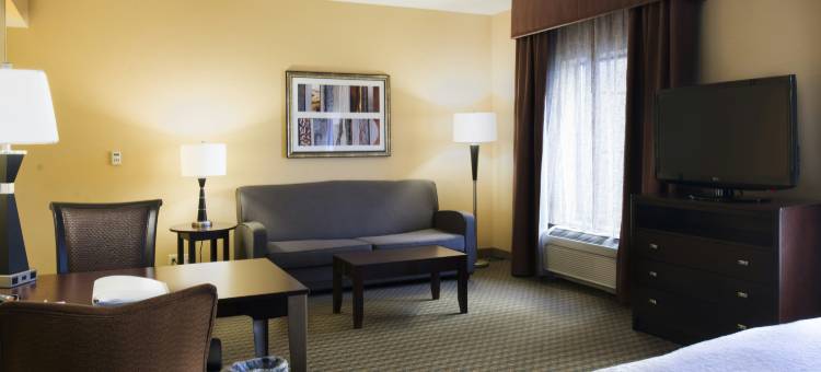 文兰德希尔顿欢朋旅馆&套房酒店(Hampton Inn & Suites Vineland)图片