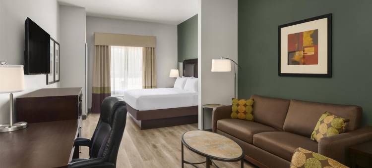 邓肯维尔达拉斯贝斯特韦斯特优质酒店(Best Western Plus Duncanville Dallas)图片