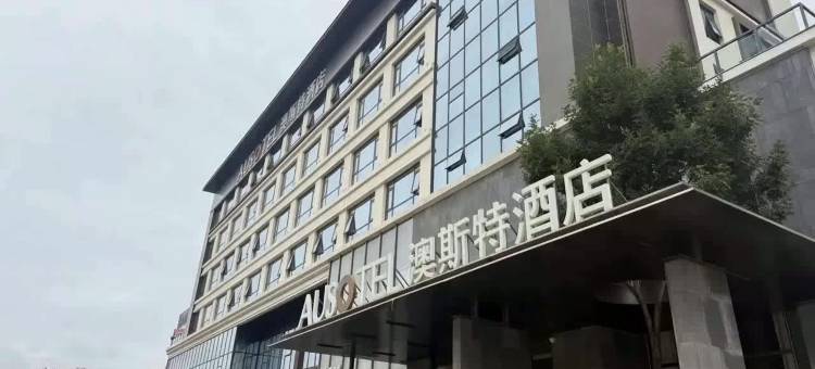 延安澳斯特酒店(新区吾悦广场店)图片