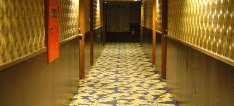 嘉义嘉冠大酒店图片