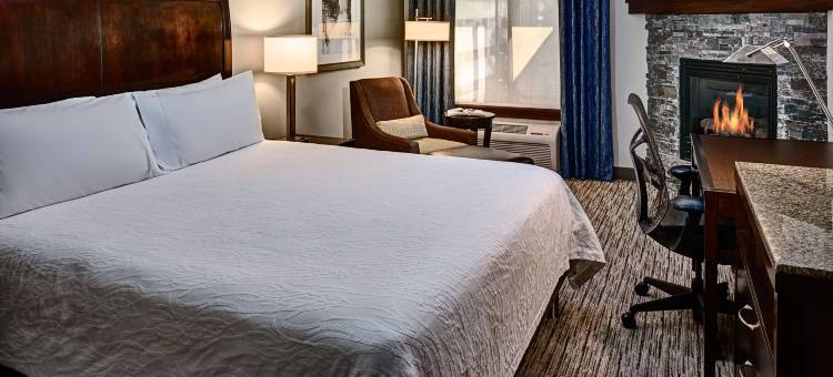 希尔顿花园旅馆-加特林堡(Hilton Garden Inn Gatlinburg)图片