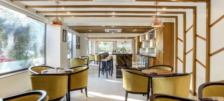 果阿索彼特萨诺瓦波蒂科酒店(Sobit Sarovar Portico)图片