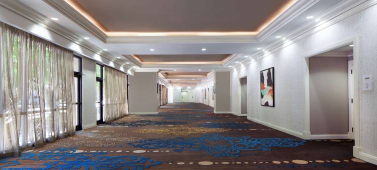 圣彼得堡海湾希尔顿酒店(Hilton St. Petersburg Bayfront)图片