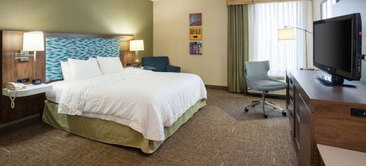 欢朋酒店-布法罗南/I-90(Hampton Inn Buffalo-South/I-90)图片