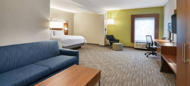 斯泰茨伯勒洲际智选假日酒店(Holiday Inn Express STATESBORO by IHG)图片