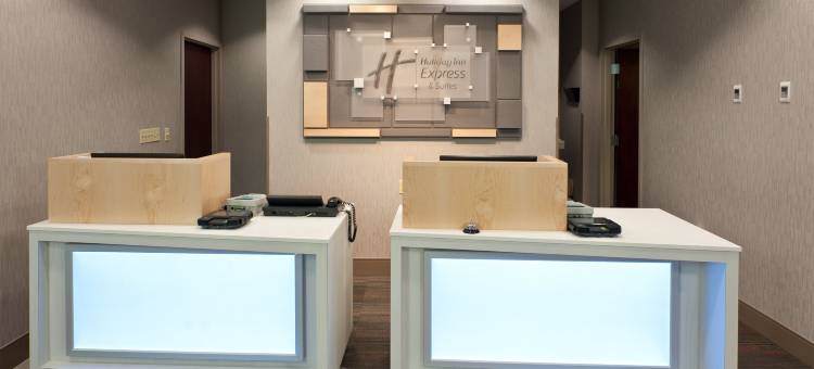 洲际酒店集团智选假日酒店及套房斯科特 - 拉斐特西(Holiday Inn Express & Suites Scott-Lafayette West)图片