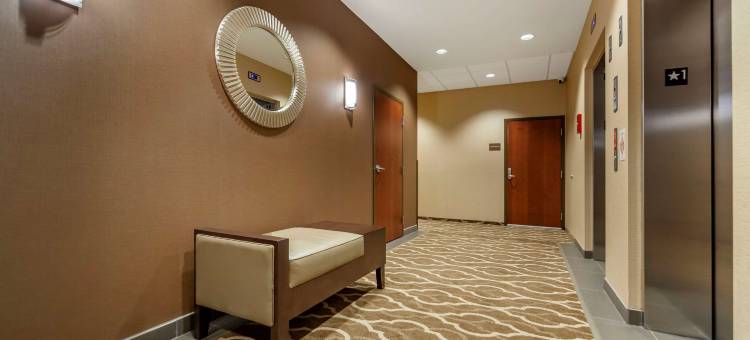 舒适套房酒店(Comfort Suites)图片