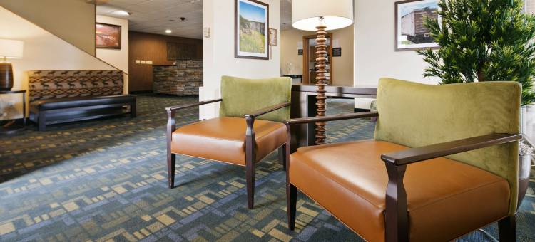 张伯伦李斯贝斯特韦斯特酒店(Best Western Lees Motor Inn)图片