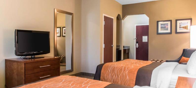 兰开斯特县舒适酒店(Comfort Inn Lancaster County)图片
