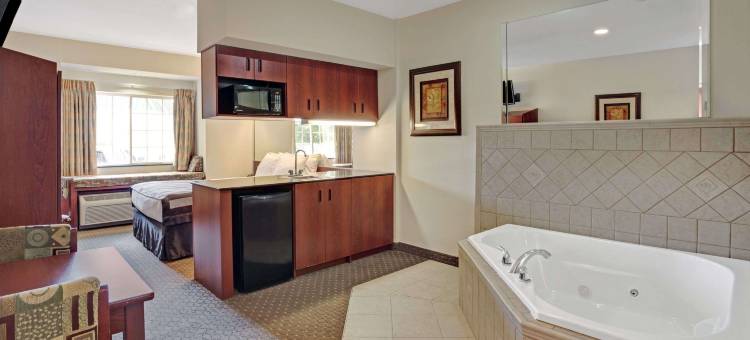 印第安纳波利斯机场温德姆麦客达酒店(Microtel Inn & Suites by Wyndham Indianapolis Airport)图片