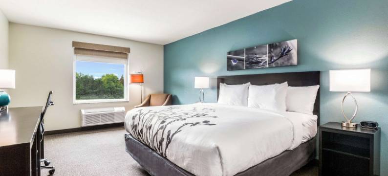 温菲尔德-提斯谷舒眠酒店(Sleep Inn Winfield - Teays Valley)图片