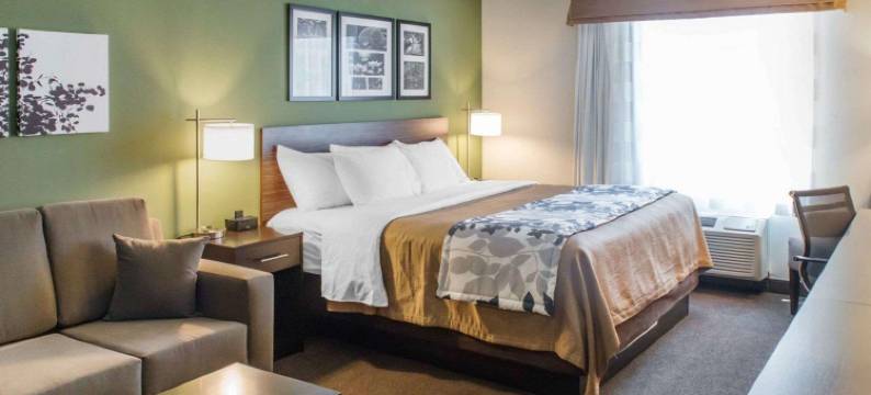 德福尼亚克泉舒眠套房酒店-克雷斯特韦(Sleep Inn & Suites Defuniak Springs - Crestview)图片