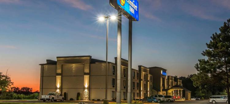 舒适酒店-大都会机场(Comfort Inn Metro Airport)图片