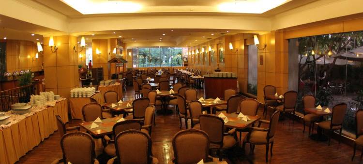 阿米尔绿洲酒店(Oasis Amir Hotel)图片
