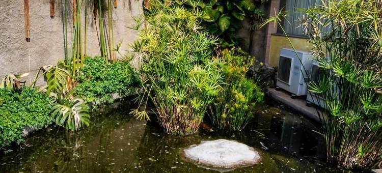 莱富吉奥萨西酒店(Refugio do Saci Hotel)图片