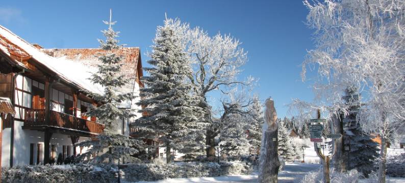 克鲁兹坦瓦尔德酒店酒店(Waldhotel Kreuztanne)图片