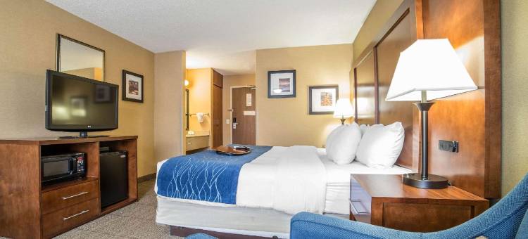 大章克申I-70舒适酒店(Comfort Inn Grand Junction I-70)图片