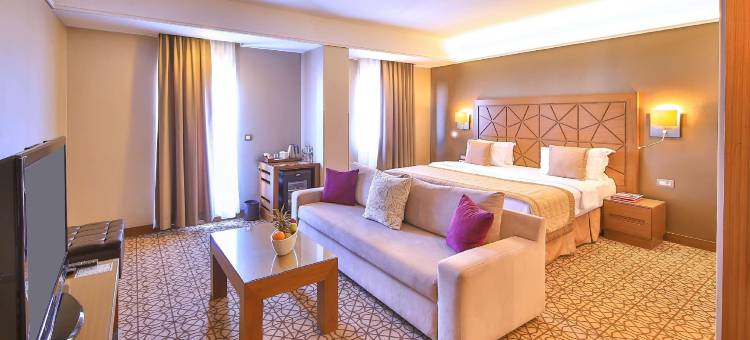 伊斯坦布尔塔克西姆华美达酒店(Ramada by Wyndham Istanbul Taksim)图片