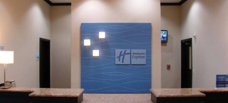 智选假日套房酒店布朗菲尔德(Holiday Inn Express & Suites Brownfield)图片