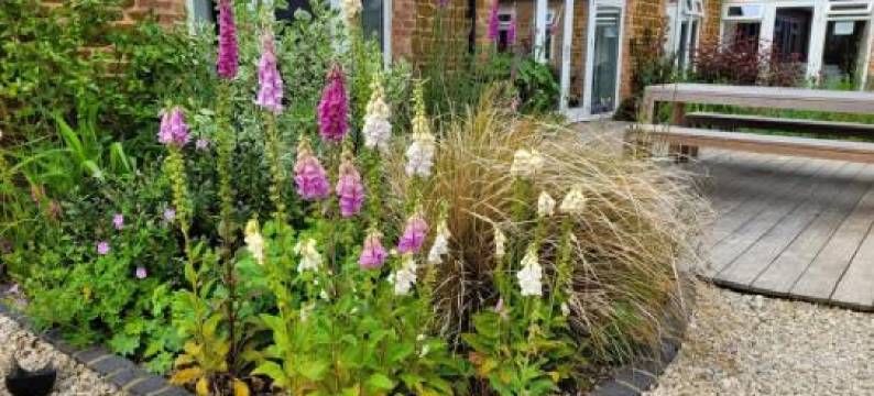 Bay Tree Cottage Accommodation图片