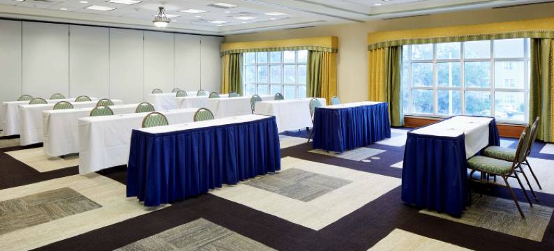 萨凡纳/市中心欢朋酒店兼套房(Hampton Inn & Suites Savannah/Midtown)图片