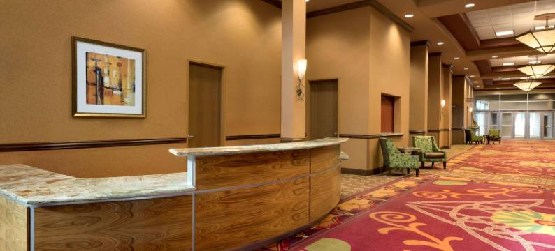 奥马哈拉维斯塔安泊套房酒店及会议中心(Embassy Suites by Hilton Omaha la Vista Hotel & Conference Center)图片