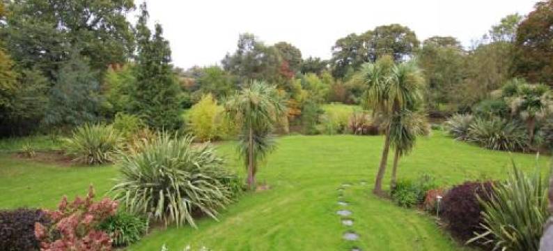 Gites du Manoir de Savigny图片