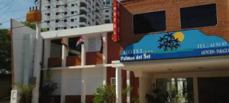 帕尔马斯德索尔酒店(Hotel Palmas del Sol)图片