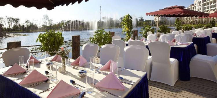 沈阳于洪碧桂园凤凰酒店图片