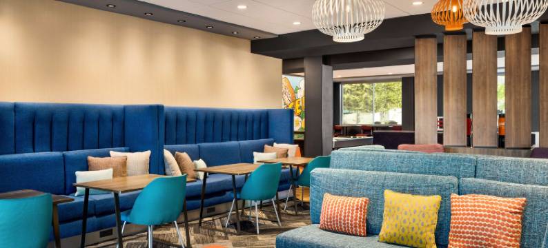 罗维莎亚特兰大舒格洛夫希尔顿Tru酒店(Tru by Hilton Lawrenceville Atlanta I-85 Sugarloaf)图片