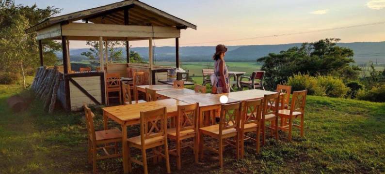 Heartn树旅馆(Guest House Heartn Tree)图片