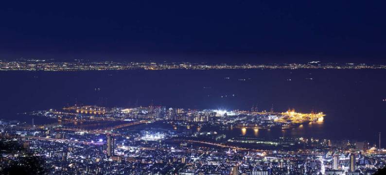 海洋露台绣球花(Ocean Terrace Ajisai)图片