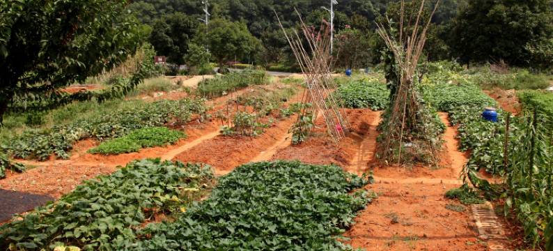 韶山观韶思源民宿(故居景区店)图片