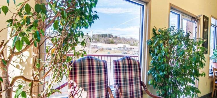 马里昂 I-81 伊克诺旅馆(Econo Lodge Marion I-81)图片