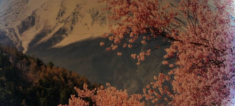 好房公寓(平安路分店)图片