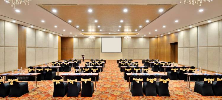 海得拉巴班加拉山丽笙世嘉酒店(Radisson Blu Plaza Hotel Hyderabad Banjara Hills)图片