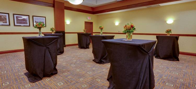 圣路易斯-近森林公园德鲁里套房酒店(Drury Inn & Suites St. Louis Forest Park)图片