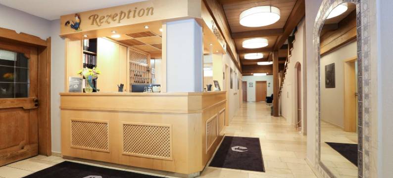 ANA Goggl, Trademark Collection by Wyndham图片