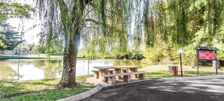 罗德威酒店斯威特沃特南部(Rodeway Inn Sweetwater South)图片