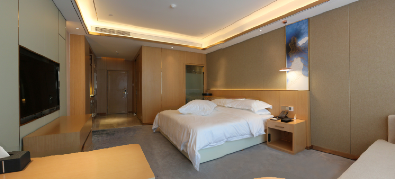 剑阁瑞山酒店图片